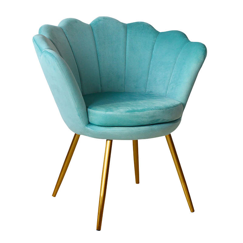 Cadeira de acento de lazer em vaso de veludo (X-5110)